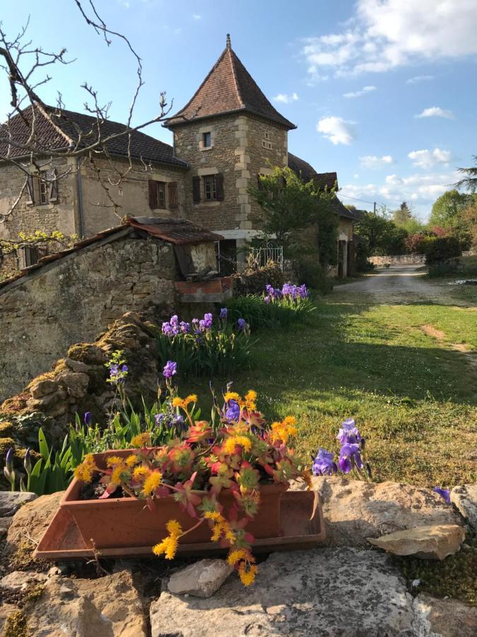 La Maison D Helene Hotel Cambes  Bagian luar foto